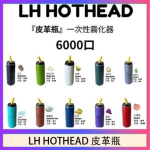 LH HOTHEAD皮革瓶電子煙可充電6000口一次性