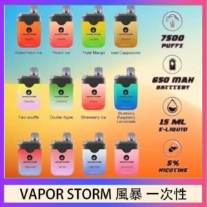 Vapor Storm風暴電子煙7500口（5%）一次性
